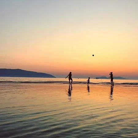 Vitamin Sea